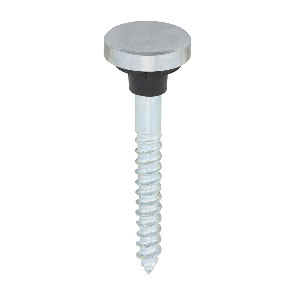 TIMCO Mirror Screws - Chrome