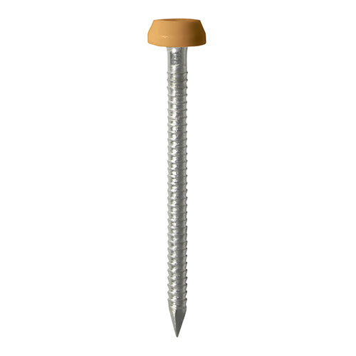 TIMCO Polymer Headed Pins - A4 Stainless Steel