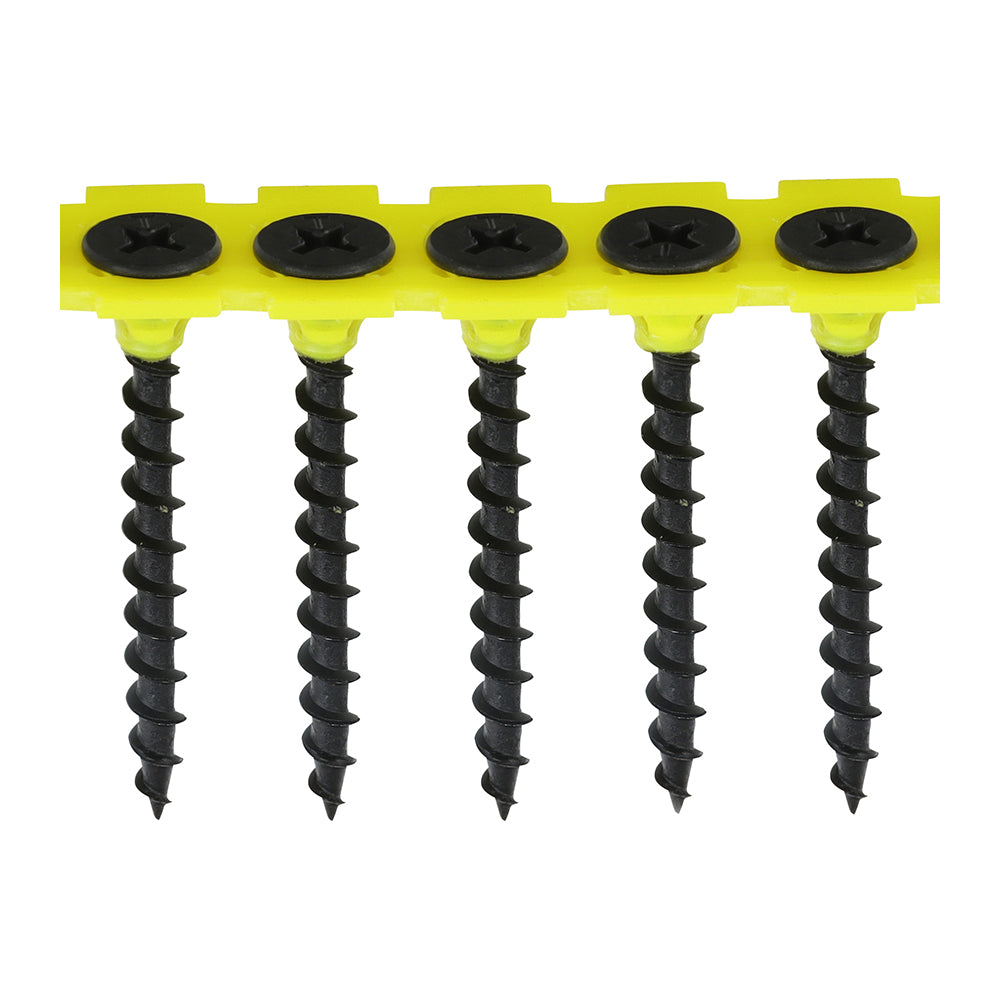 TIMCO Collated Drywall Coarse Thread Bugle Head Black Screws
