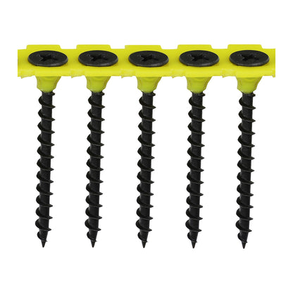 TIMCO Collated Drywall Coarse Thread Bugle Head Black Screws