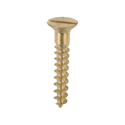 TIMCO Brass Woodscrew - Slotted
