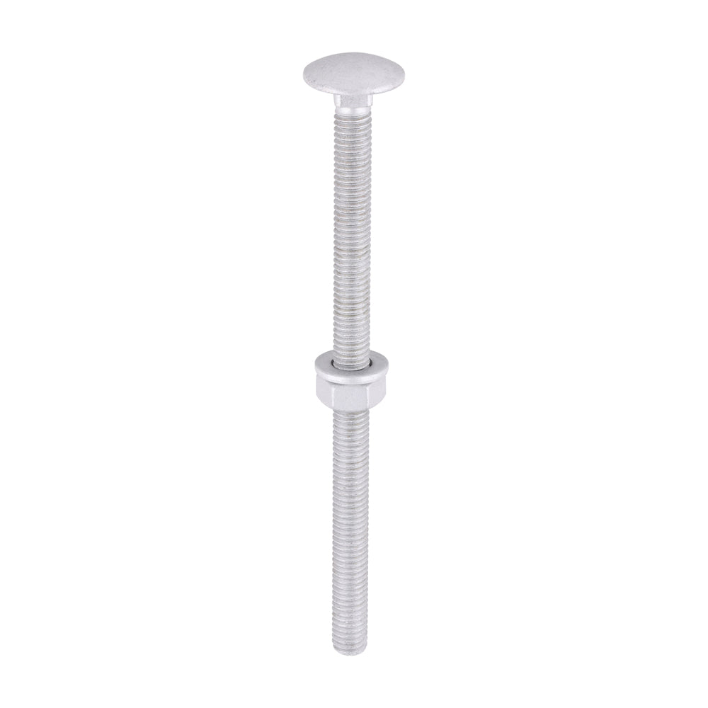 TIMCO Carriage Bolt, Washer & Nut - Exterior Silver