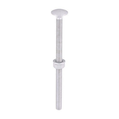 TIMCO Carriage Bolt, Washer & Nut - Exterior Silver