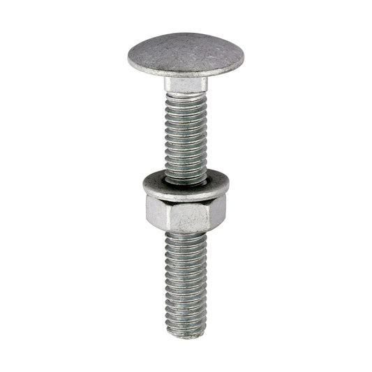 TIMCO Carriage Bolt, Washer & Nut - Exterior Silver
