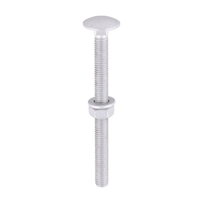 TIMCO Carriage Bolt, Washer & Nut - Exterior Silver