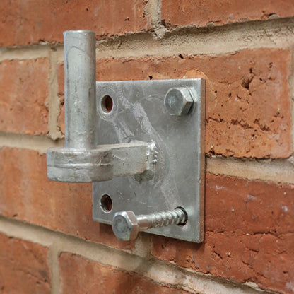 TIMCO Coach Screw & Nylon Plug