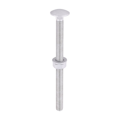 TIMCO Carriage Bolt, Washer & Nut - Exterior Silver
