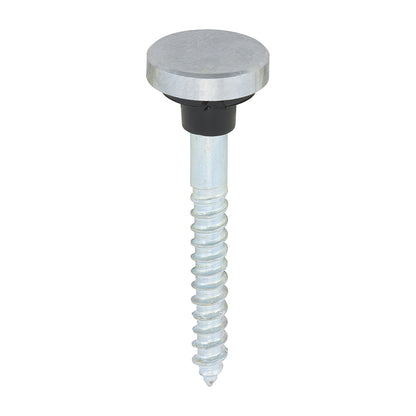 TIMCO Mirror Screws  - Chrome