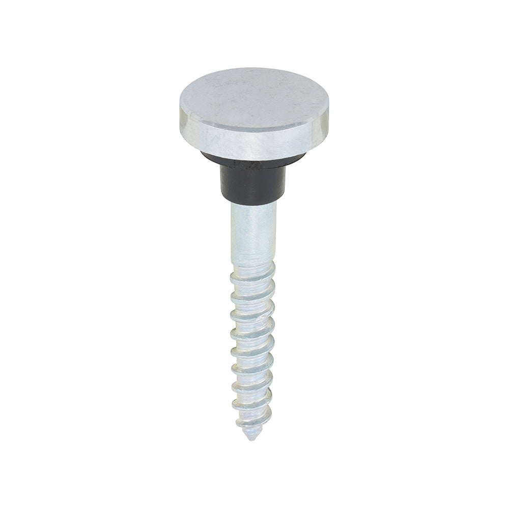 TIMCO Mirror Screws  - Chrome