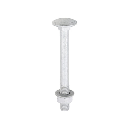 TIMCO Carriage Bolt, Washer & Nut - Exterior Silver