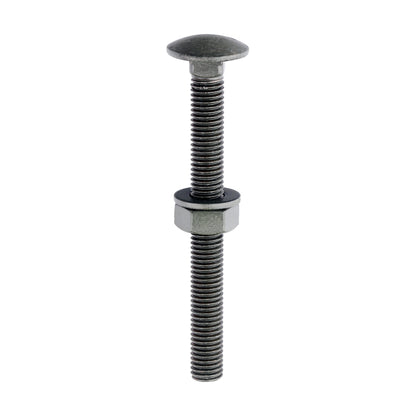 TIMCO Carriage Bolts DIN603 Hex Nuts & Form A Washers Green Exterior