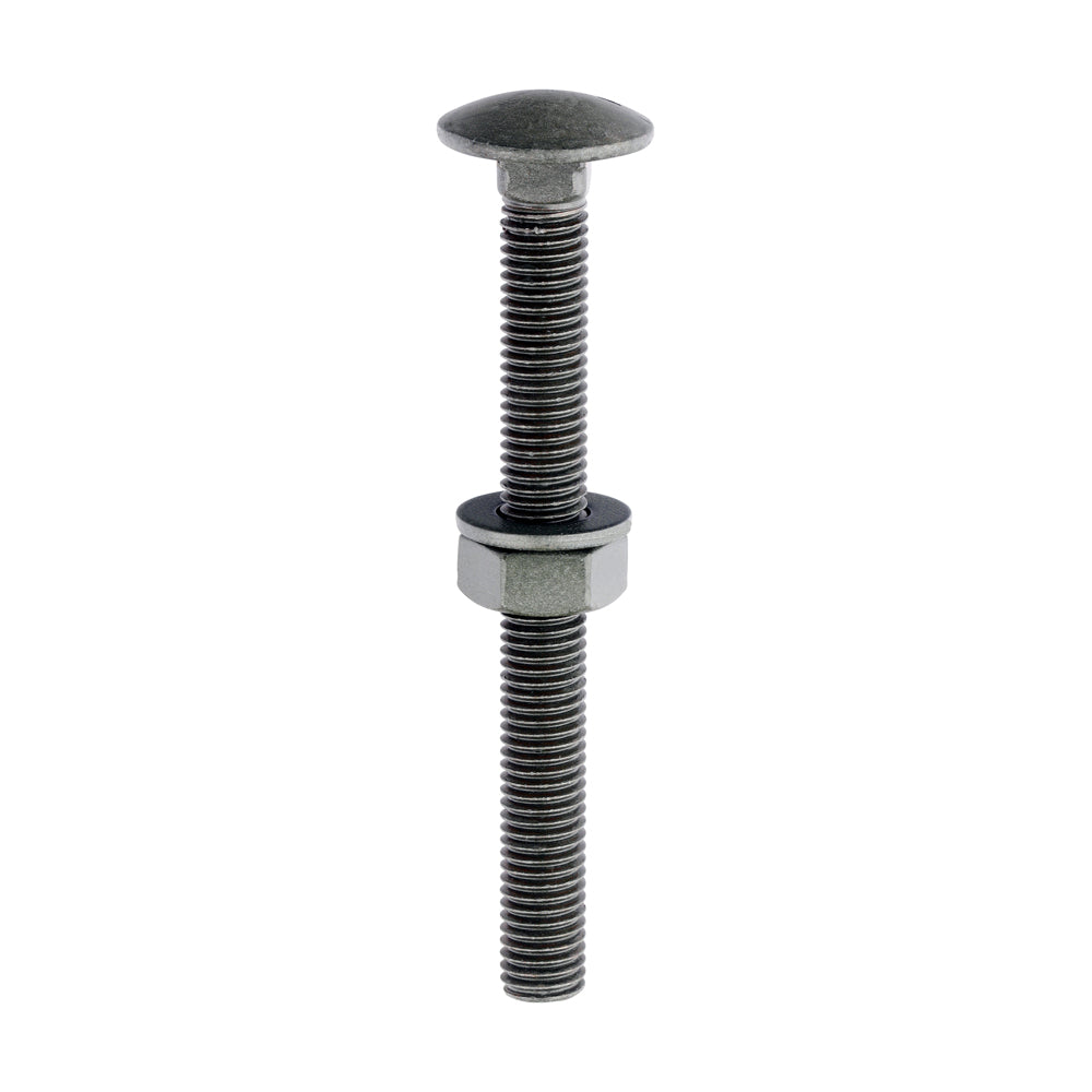 TIMCO Carriage Bolts DIN603 Hex Nuts & Form A Washers Green Exterior