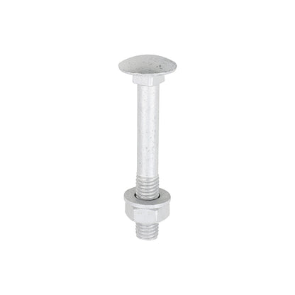 TIMCO Carriage Bolt, Washer & Nut - Exterior Silver