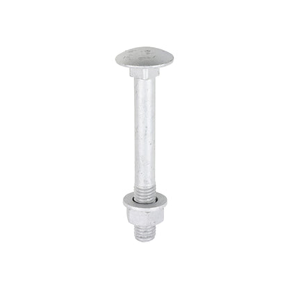TIMCO Carriage Bolt, Washer & Nut - Exterior Silver