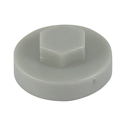 TIMCO Hex Cover Caps