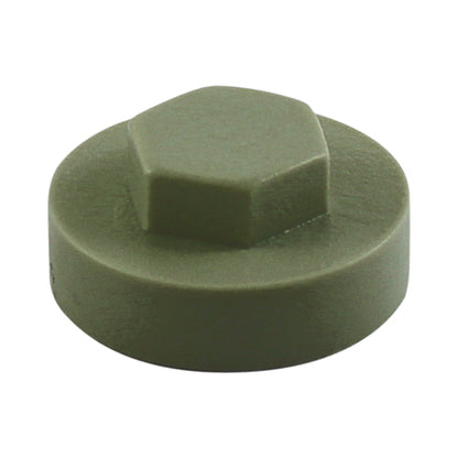 TIMCO Hex Cover Caps