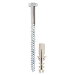 TIMCO Coach Screw & Nylon Plug