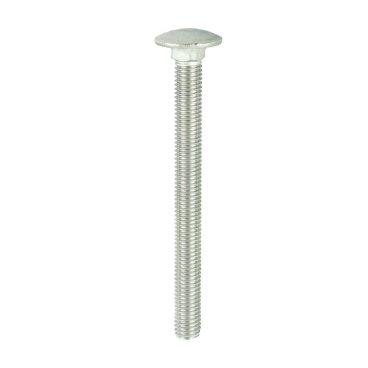 TIMCO Carriage Bolts - Stainless Steel