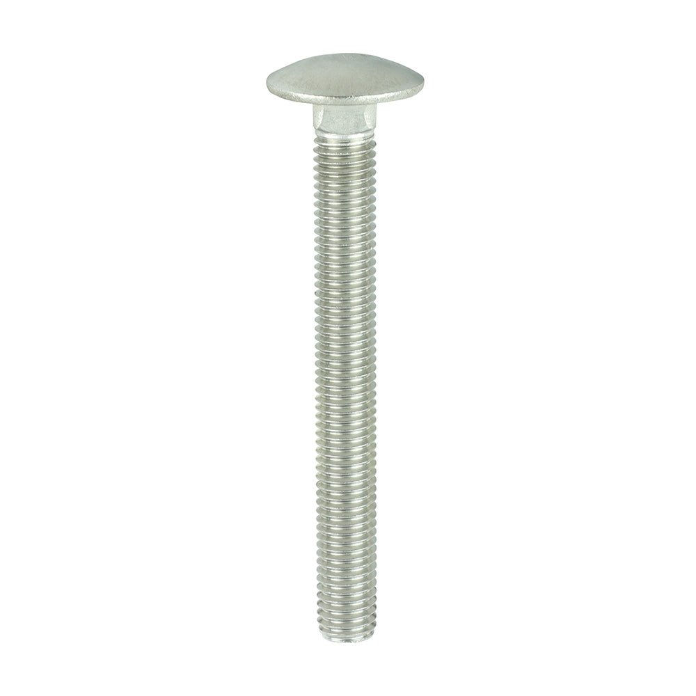 TIMCO Carriage Bolts - Stainless Steel