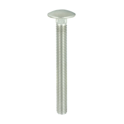 TIMCO Carriage Bolts - Stainless Steel