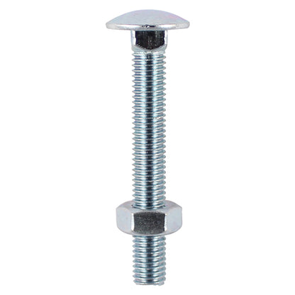 TIMCO Carriage Bolts & Hex Full Nut - Zinc