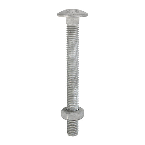 TIMCO Carriage Bolts & Hex Full Nuts - Hot Dipped Galvanised
