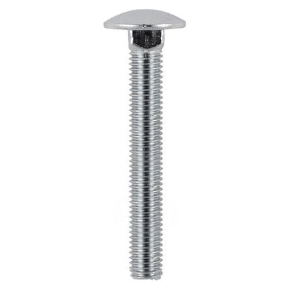 TIMCO Carriage Bolts - Stainless Steel