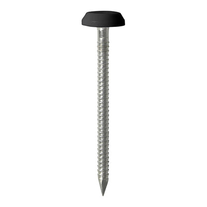 TIMCO Polymer Headed Nails - A4 Stainless Steel