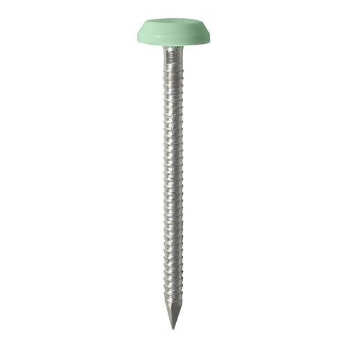 TIMCO Polymer Headed Nails - A4 Stainless Steel