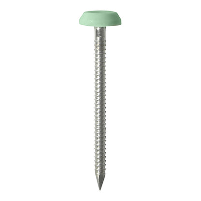 TIMCO Polymer Headed Nails - A4 Stainless Steel