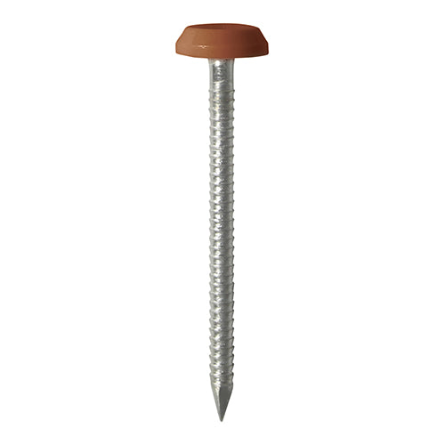 TIMCO Polymer Headed Nails - A4 Stainless Steel