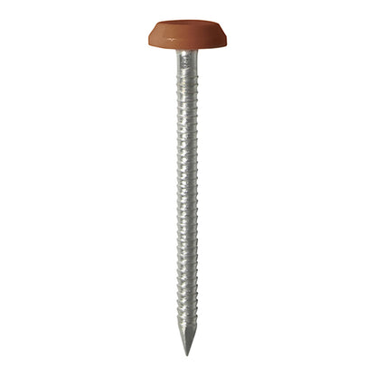 TIMCO Polymer Headed Nails - A4 Stainless Steel