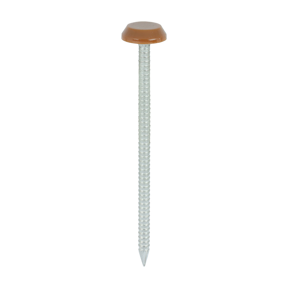 TIMCO Polymer Headed Nails - A4 Stainless Steel