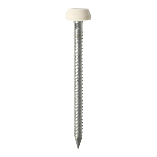 TIMCO Polymer Headed Pins - A4 Stainless Steel